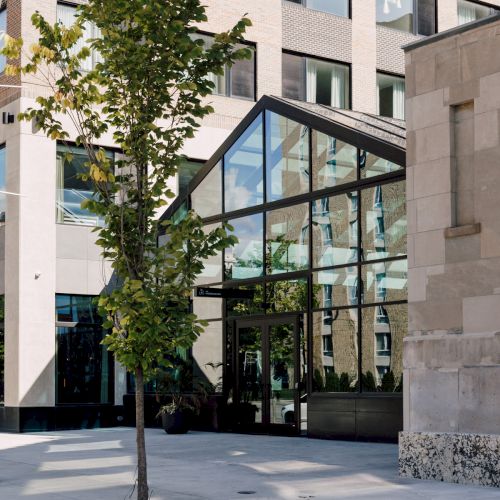 A modern building with large glass windows and a young tree planted in front on a paved sidewalk, reflecting the sky and surroundings.