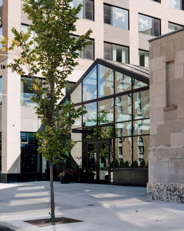 A modern building with large glass windows and a young tree planted in front on a paved sidewalk, reflecting the sky and surroundings.